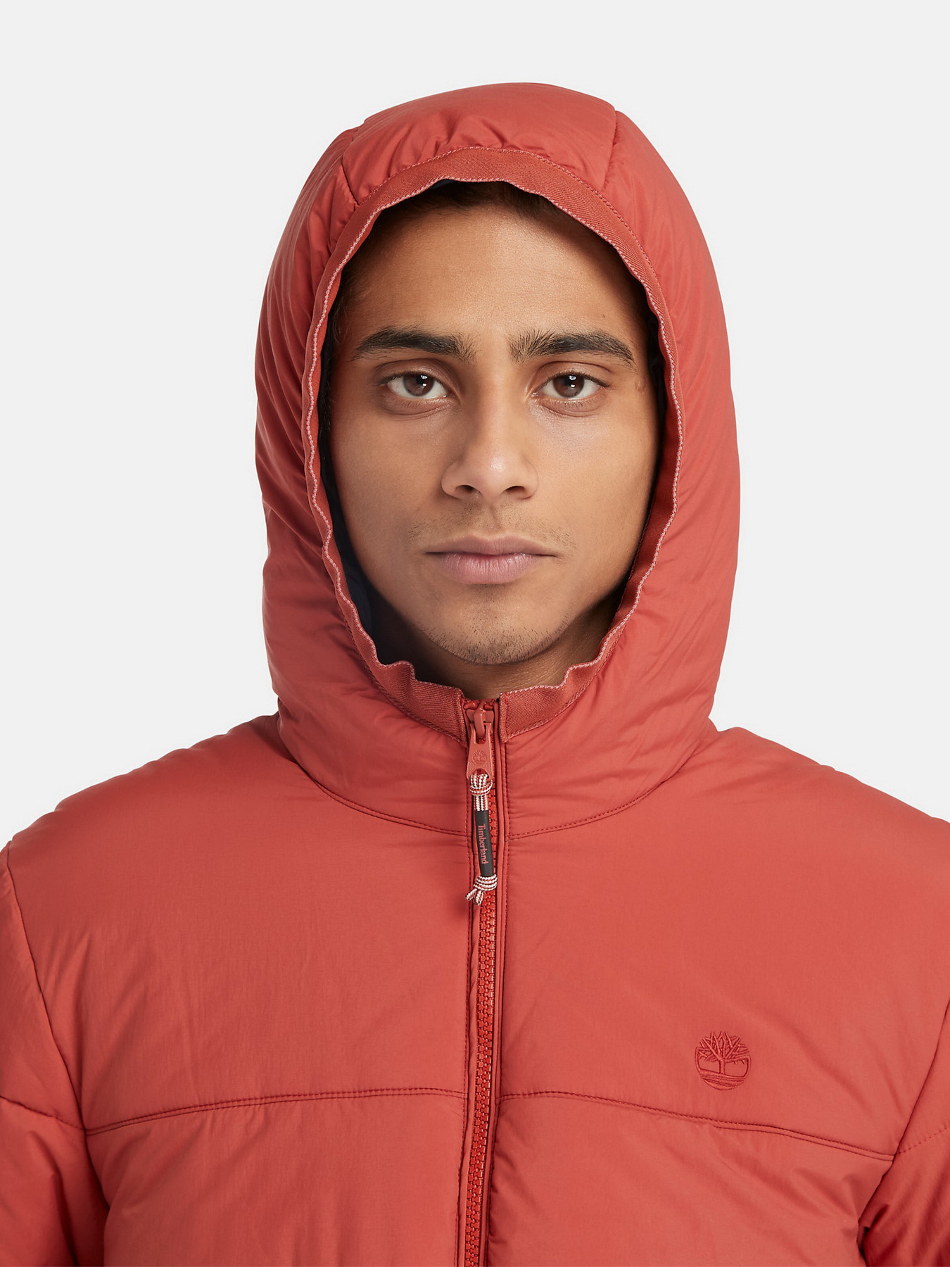 Демісезонна куртка Timberland Garfield Thermarange™ Puffer модель TB0A6G39DV5 Фото