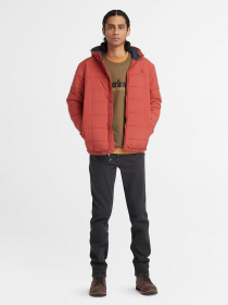 Демісезонна куртка Timberland Garfield Thermarange™ Puffer модель TB0A6G39DV5 Фото