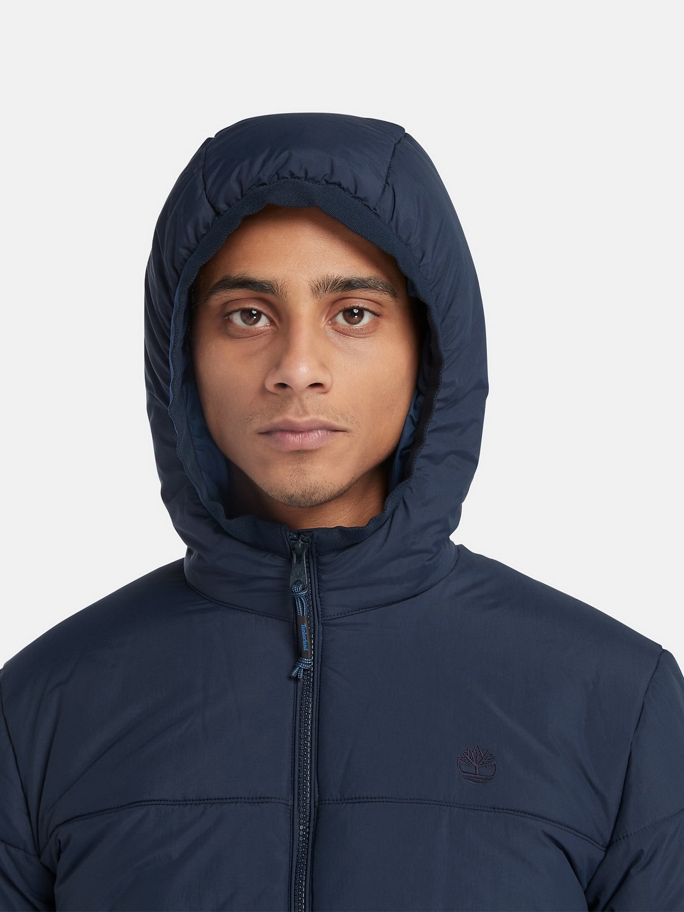 Демисезонная куртка Timberland Garfield Thermarange™ Puffer модель TB0A6G39433 Фото