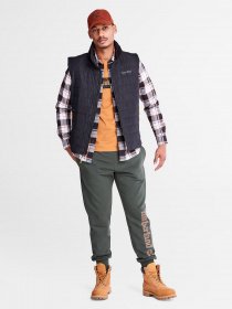 Жилет с утеплителем Timberland Axis Peak Water-Repellent Packable модель TB0A5XR5001 Фото
