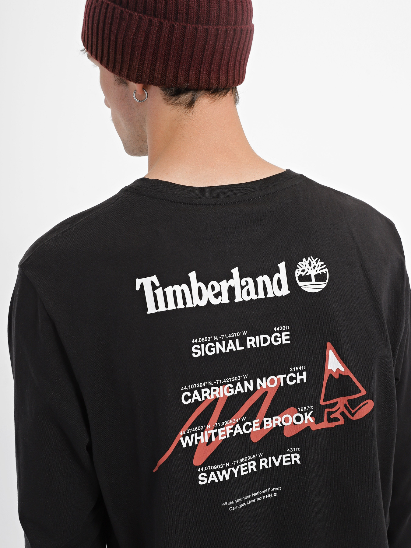 Лонгслив Timberland Signal Ridge Back Graphic модель TB0A6JN5001 Фото