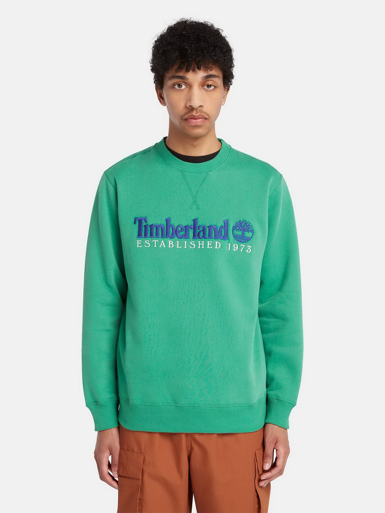 Свитшот Timberland Est. 1973 Logo Crew модель TB0A65DDED3 Фото