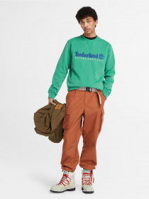 Свитшот Timberland Est. 1973 Logo Crew модель TB0A65DDED3 Фото