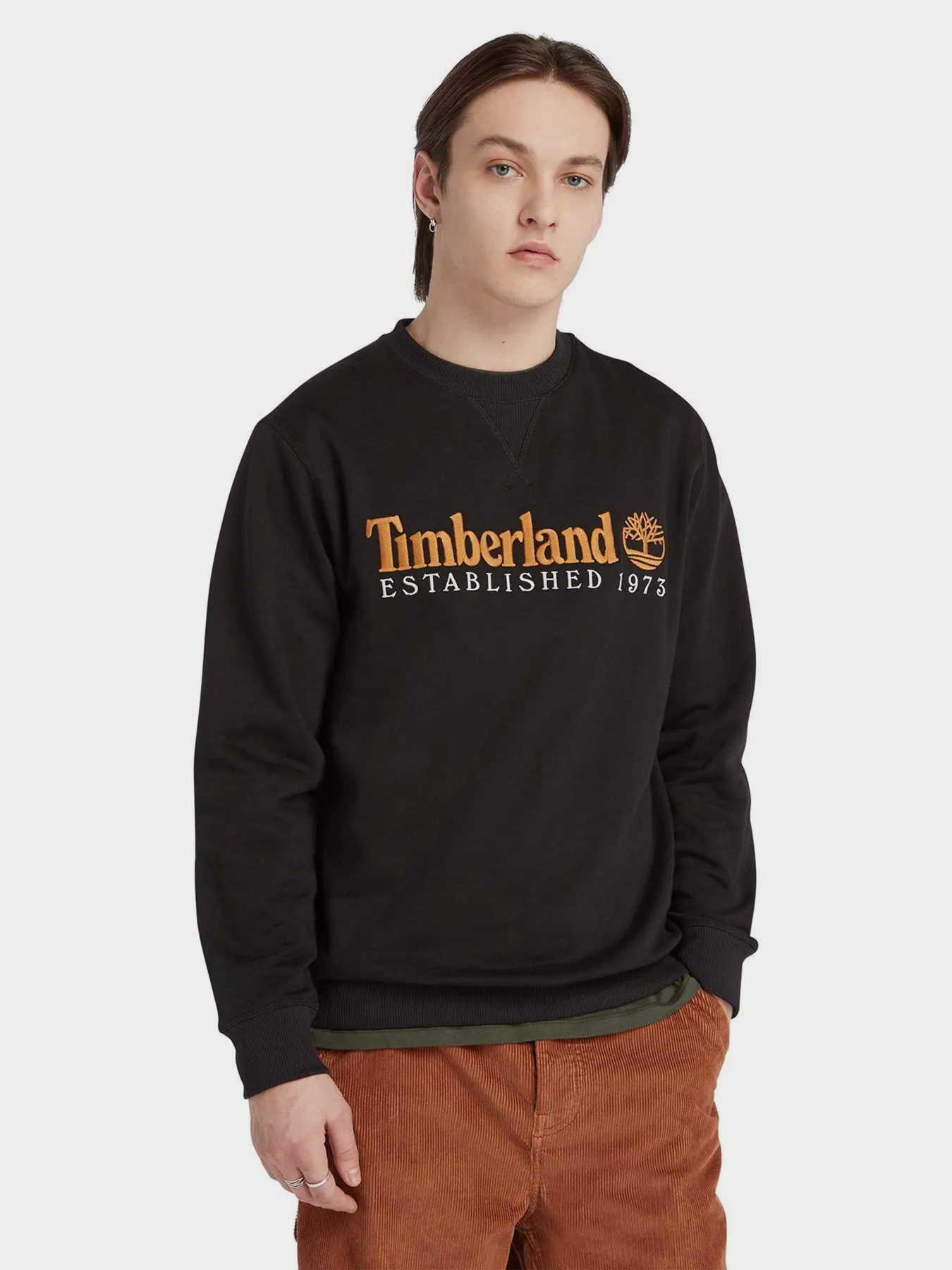 Свитшот Timberland Est. 1973 Logo Crew модель TB0A65DD001 Фото