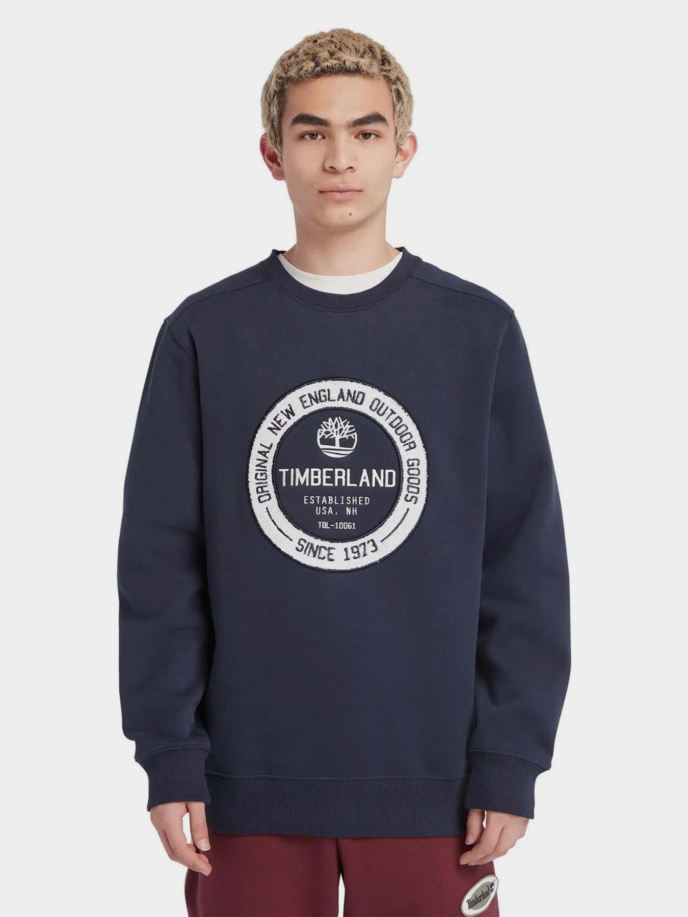 Свитшот Timberland Elevated Brand Carrier модель TB0A6FRM433 Фото