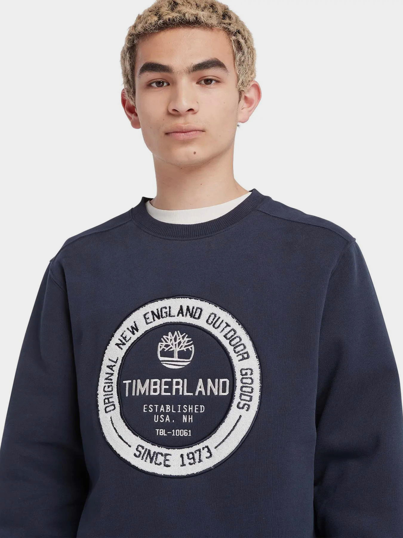Свитшот Timberland Elevated Brand Carrier модель TB0A6FRM433 Фото