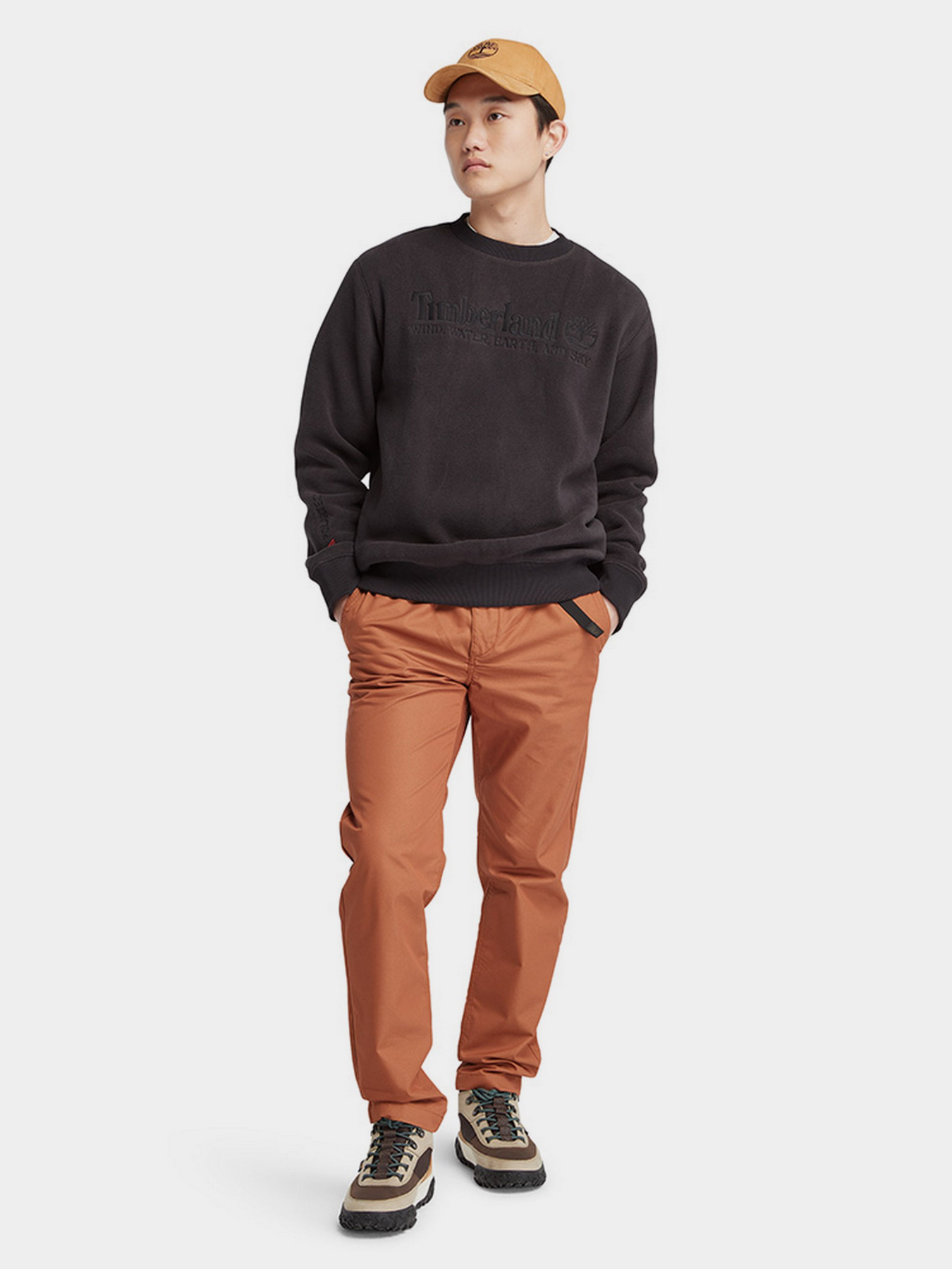 Свитшот Timberland Linear Logo модель TB0A6NQ9001 Фото