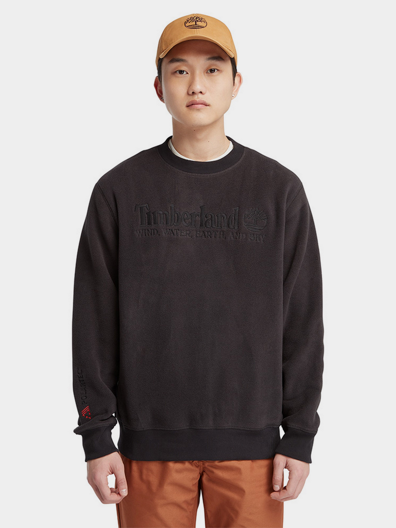 Свитшот Timberland Linear Logo модель TB0A6NQ9001 Свитшот Timberland Linear Logo модель TB0A6NQ9001 Фото