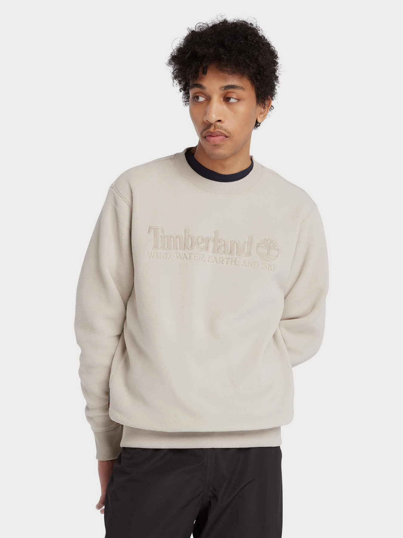 Світшот Timberland Linear Logo модель TB0A6NQ9CY2 Фото