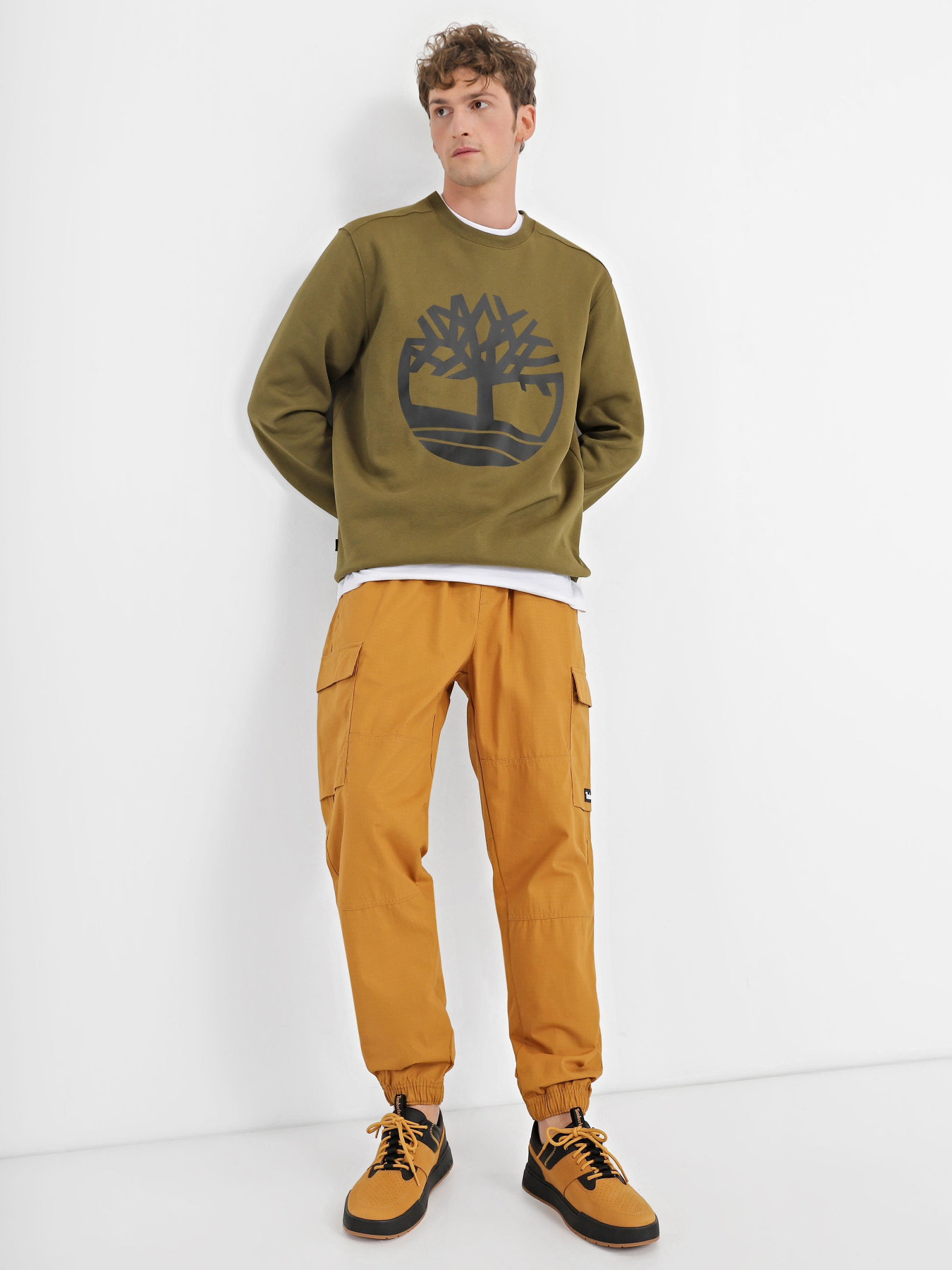 Свитшот Timberland Tree Logo Crew Neck модель TB0A2BJ8DY7 Фото