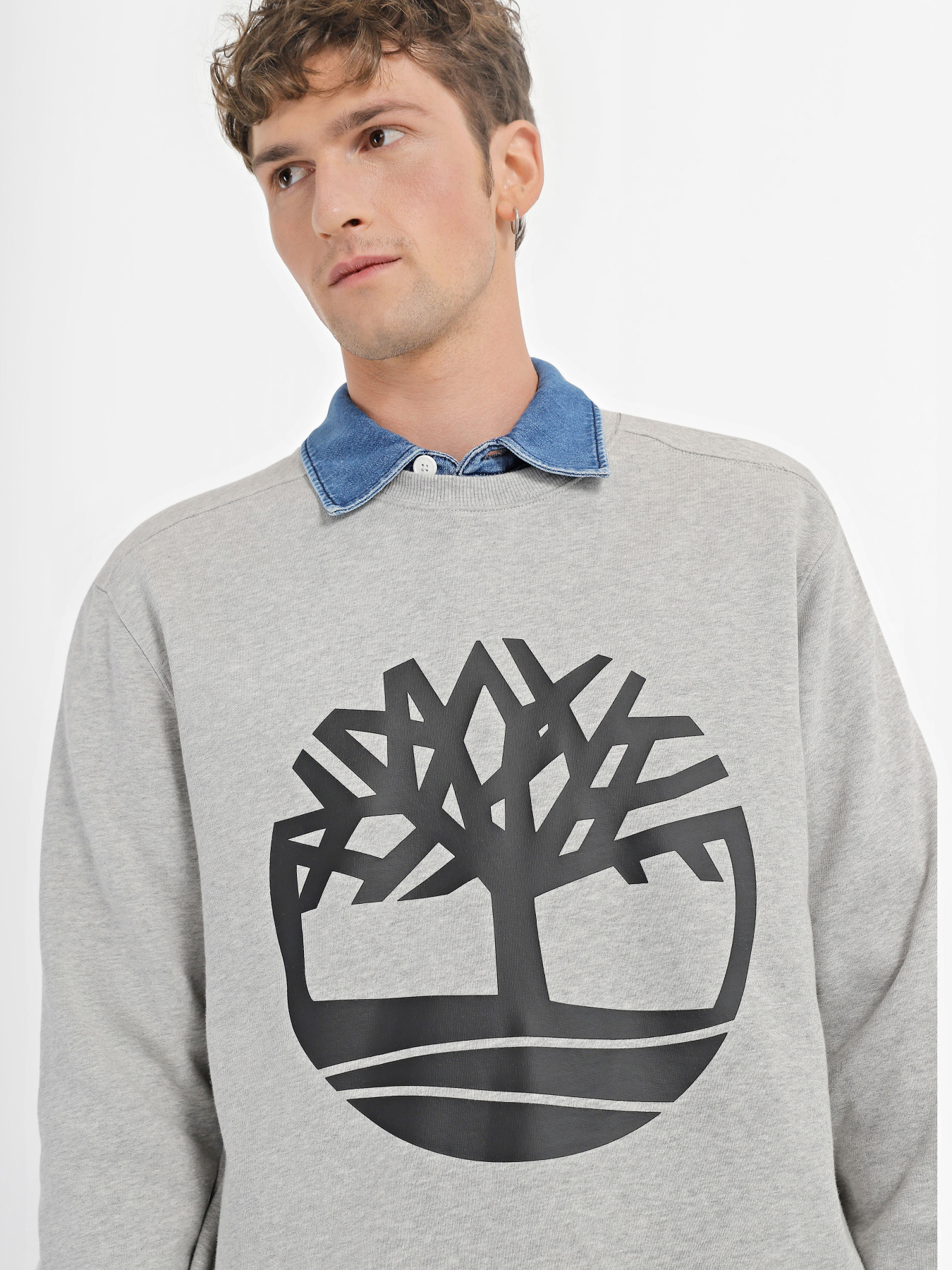 Свитшот Timberland Tree Logo Crew Neck модель TB0A2BJ8052 Фото