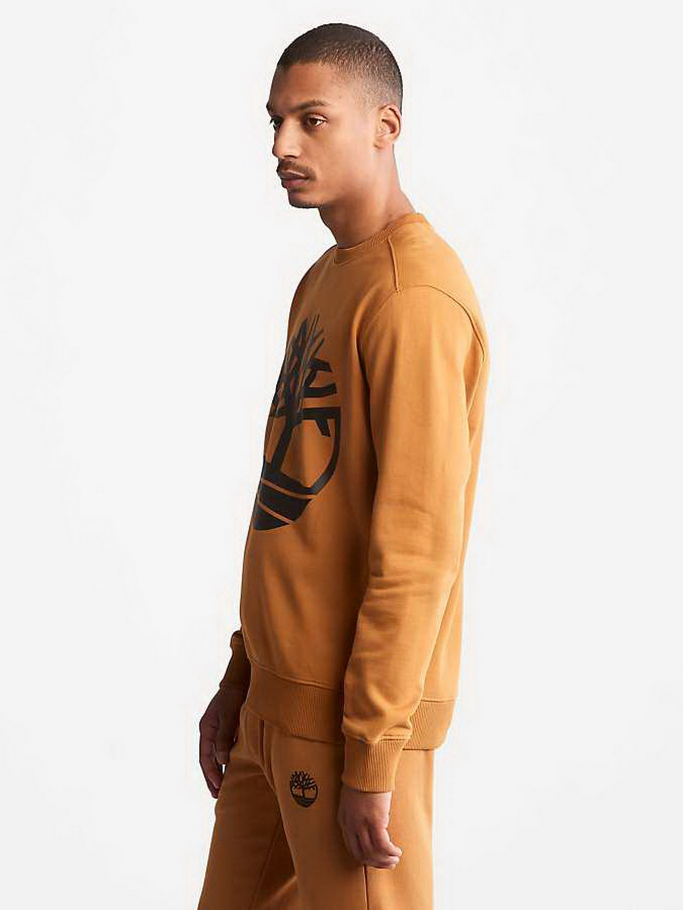 Свитшот Timberland Tree Logo Crew Neck модель TB0A2BJ8P57 Фото