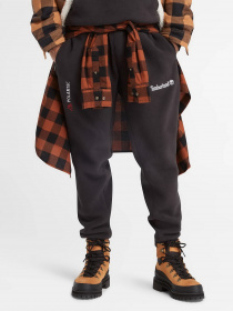 Спортивні штани Timberland 200 SERIES модель TB0A6KR5001 Фото