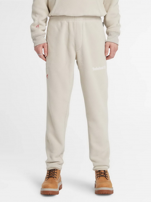Штаны спортивные Timberland 200 SERIES модель TB0A6KR5CY2 Фото