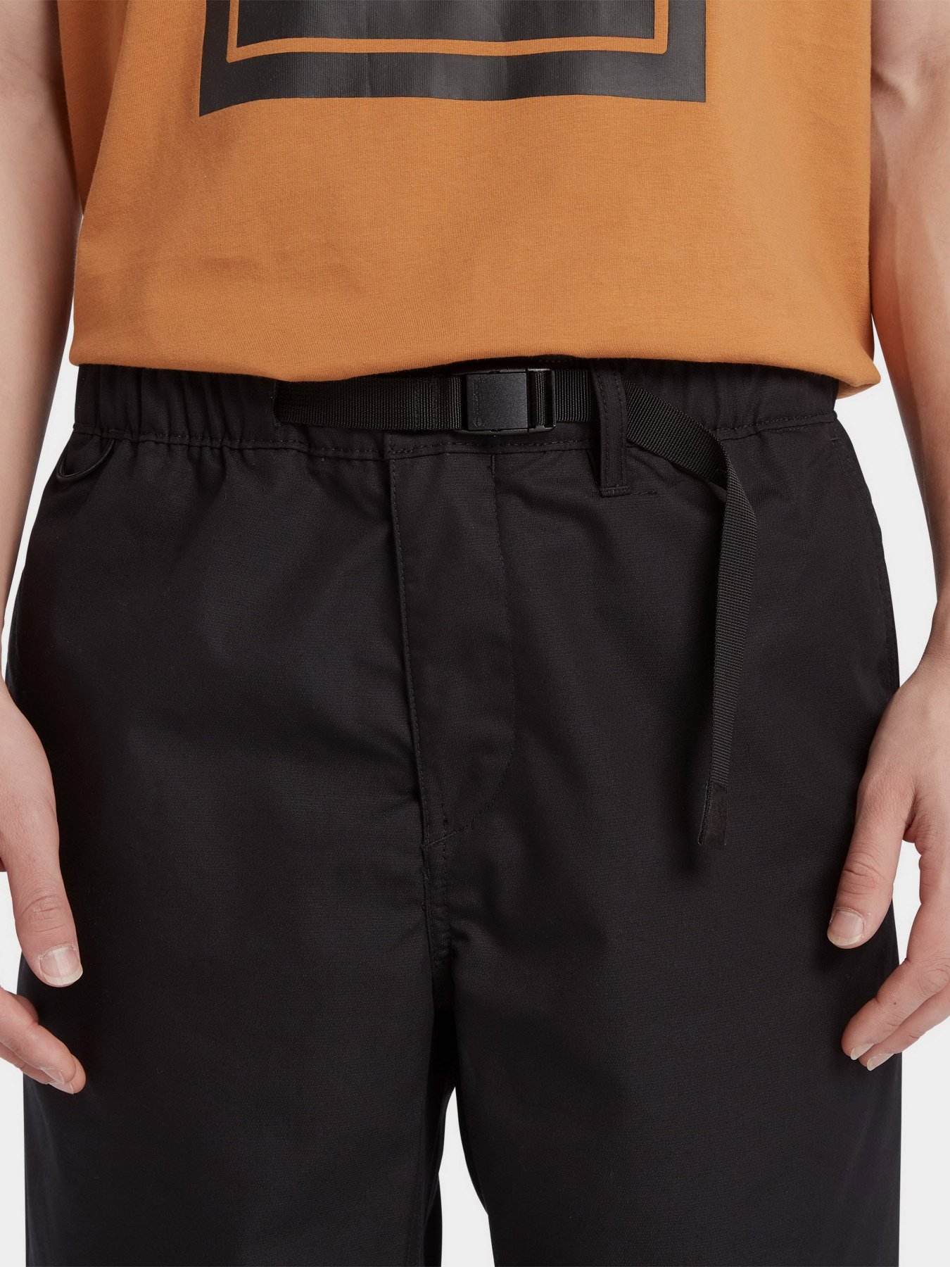 Брюки повседневные Timberland 200 Series модель TB0A6NA5001 Фото