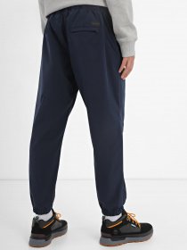 Джогери Timberland DWR модель TB0A6NBP433 Фото