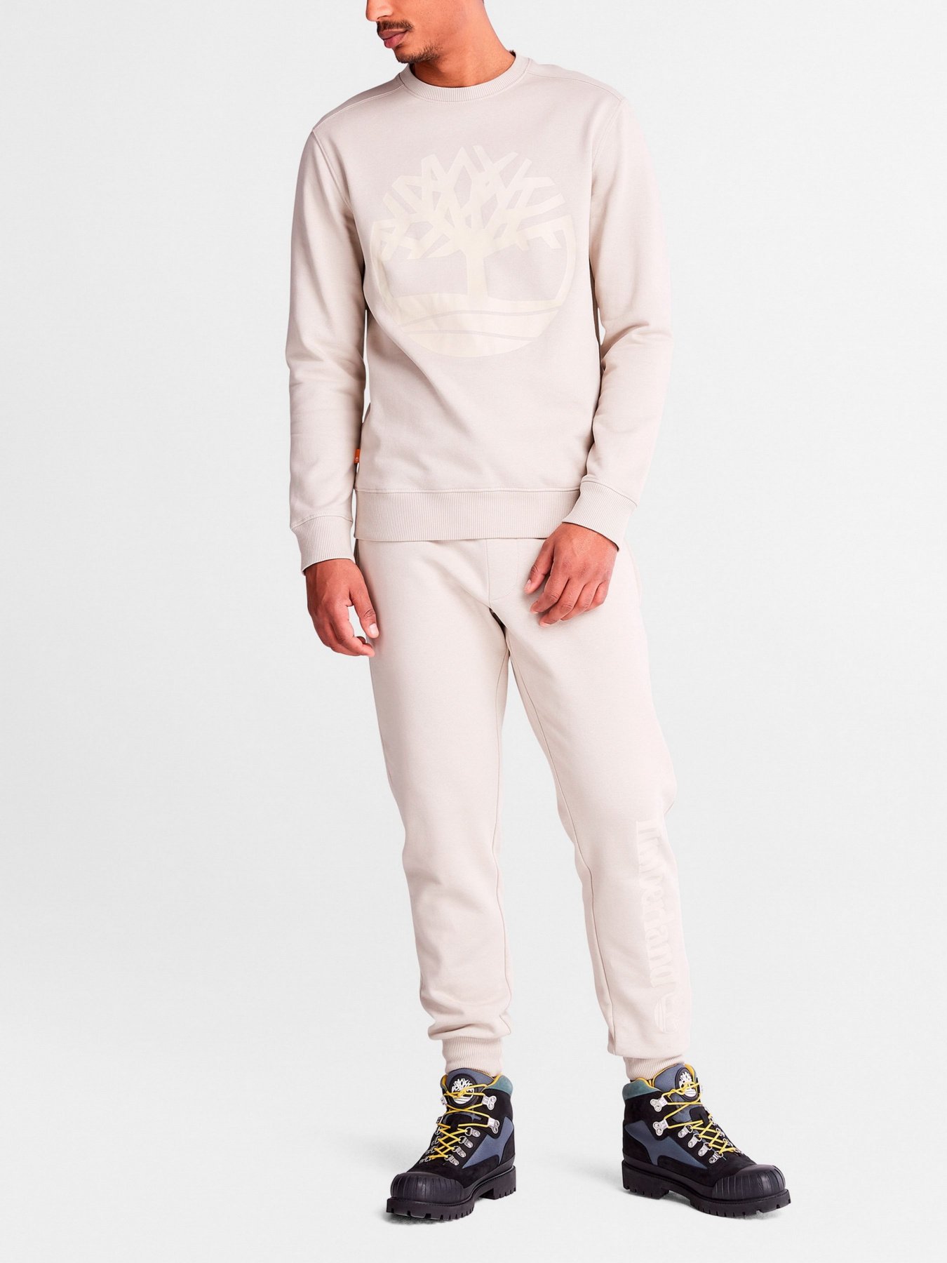 Штаны спортивные Timberland Utility Cargo модель TB0A2BVFCY2 Фото