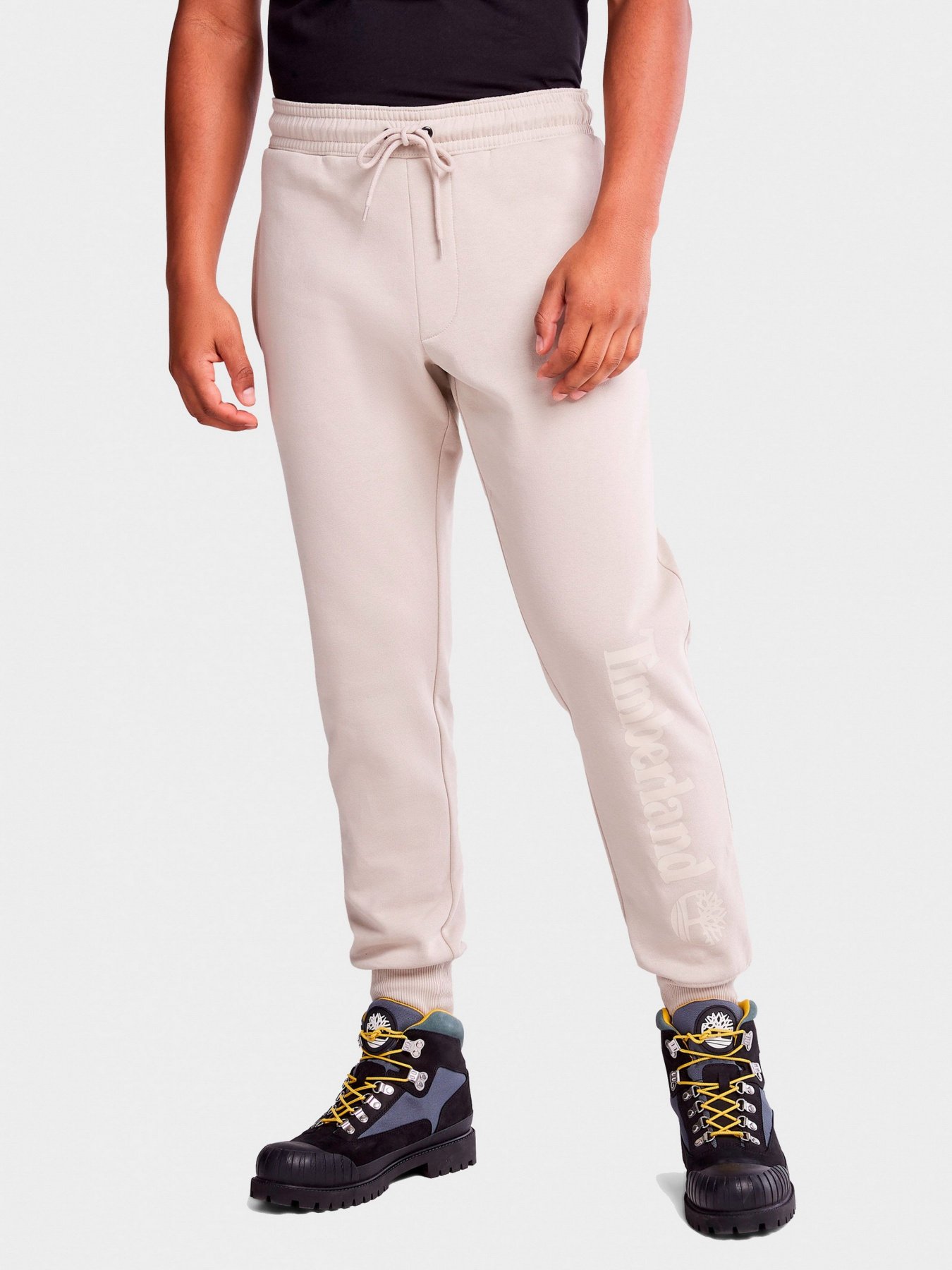 Штаны спортивные Timberland Utility Cargo модель TB0A2BVFCY2 Фото