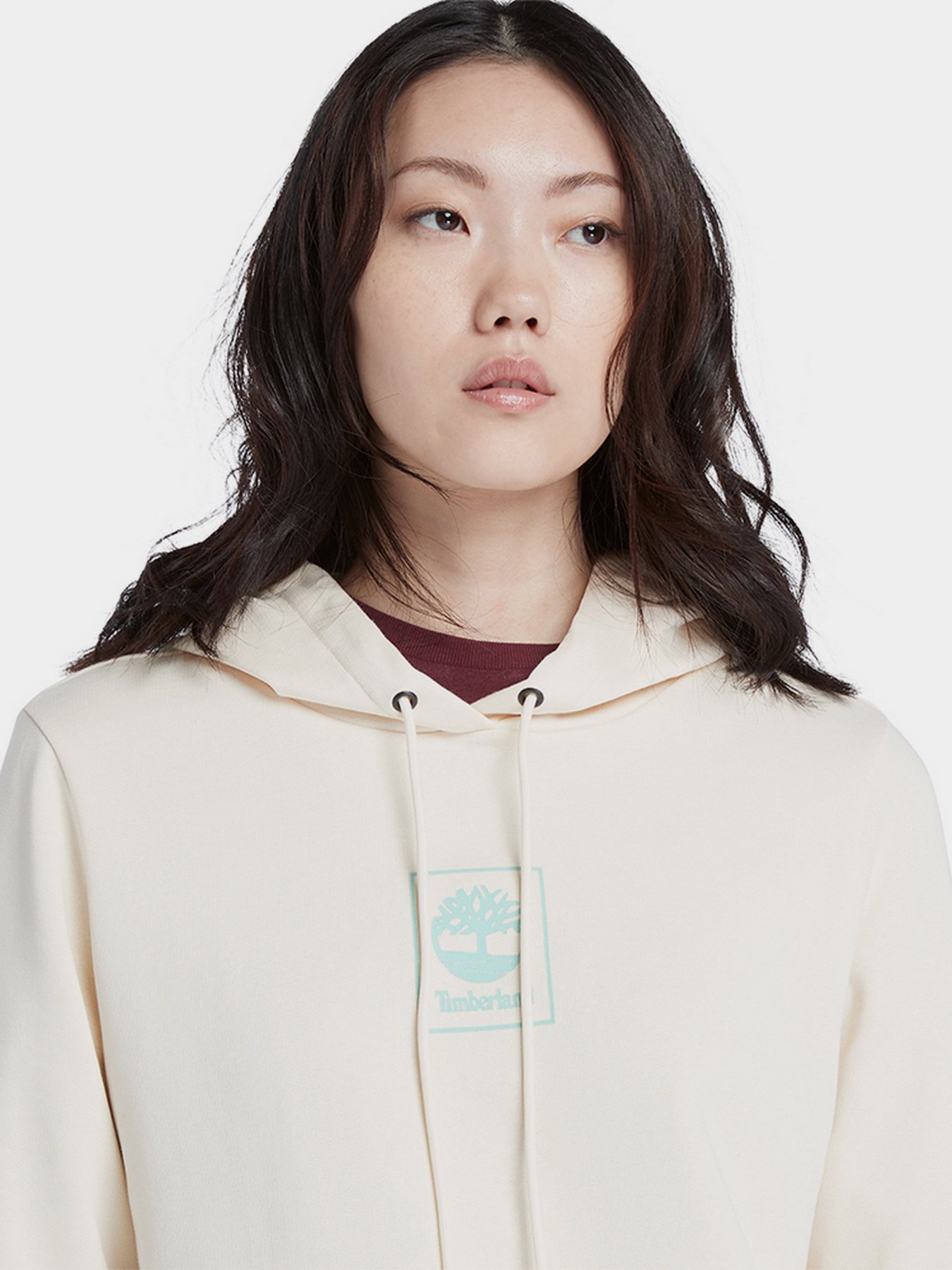 Худи Timberland Small Stack Logo модель TB0A6HSNEC9 Фото