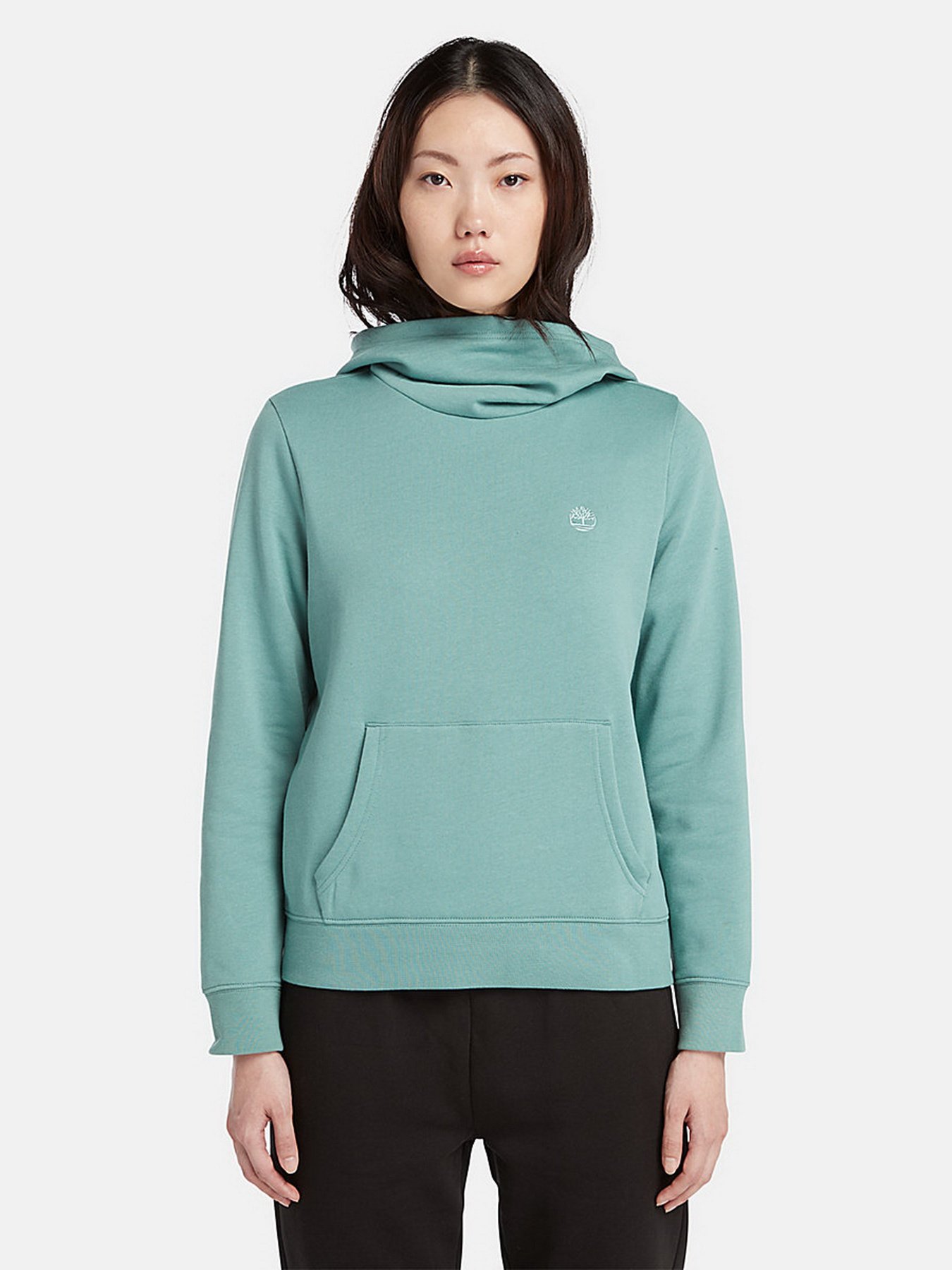 Худи Timberland Embroidered Tree модель TB0A6HXNDV6 Фото