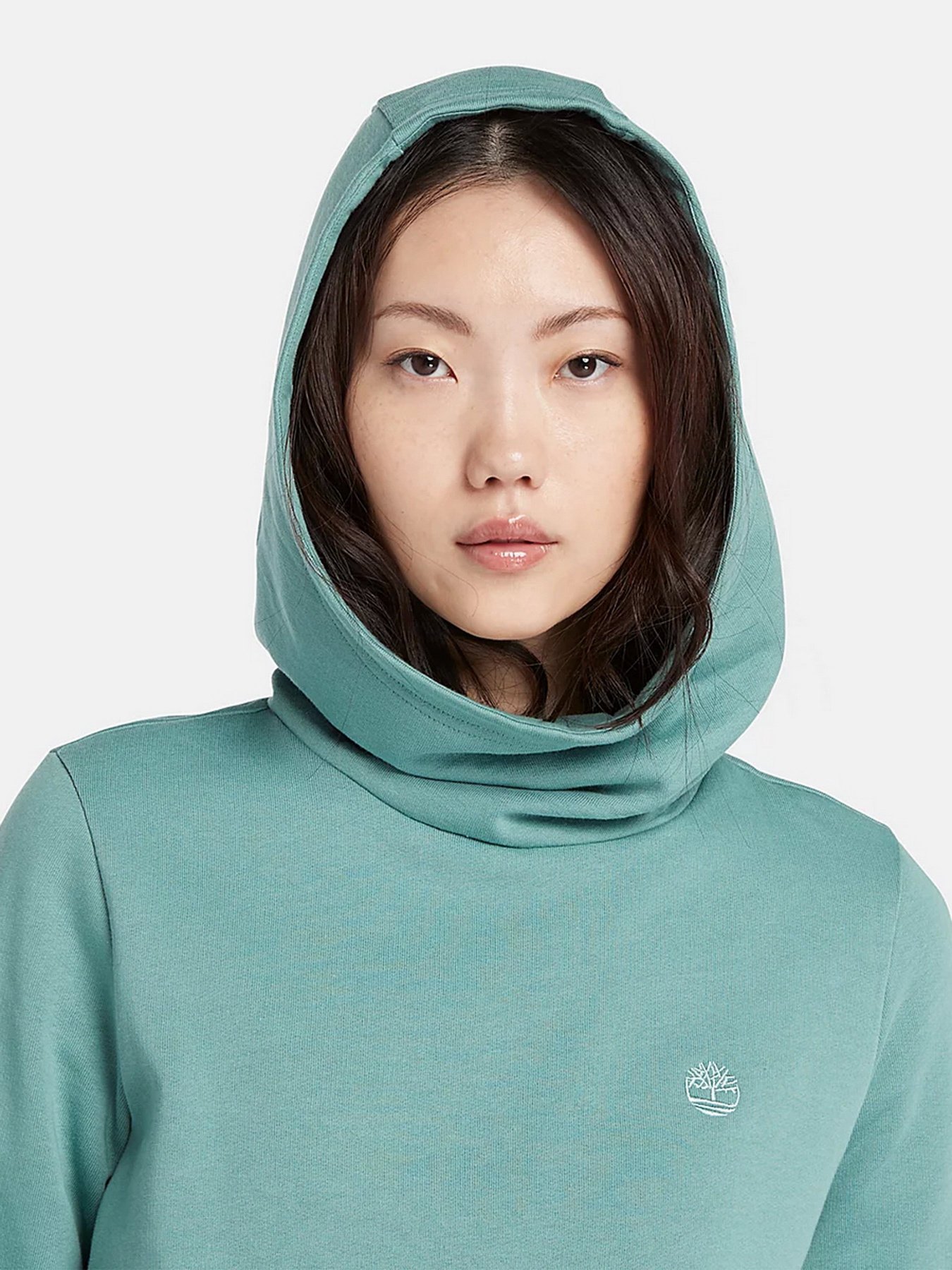 Худи Timberland Embroidered Tree модель TB0A6HXNDV6 Фото