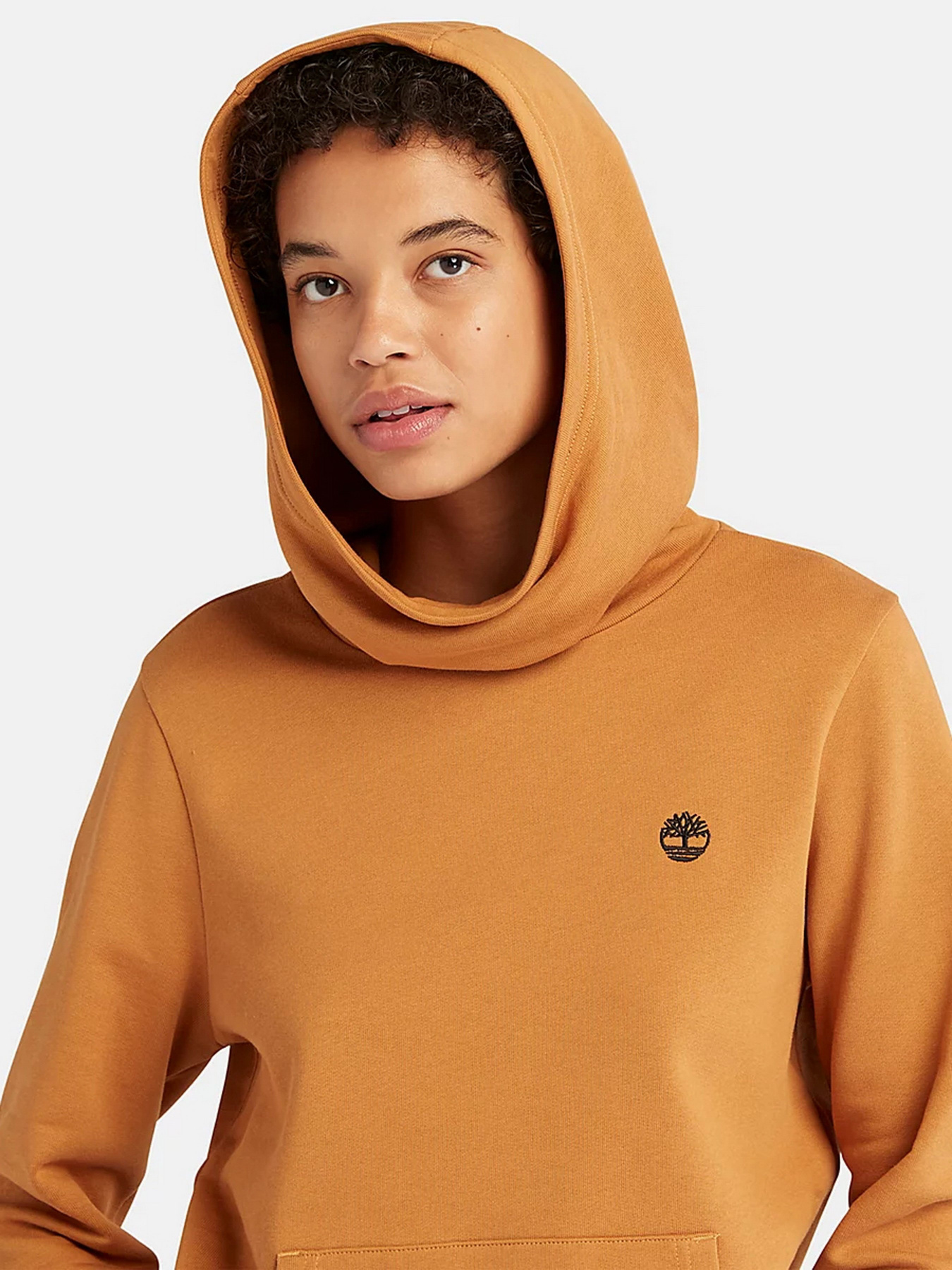 Худи Timberland Embroidered Tree модель TB0A6HXNP57 Фото