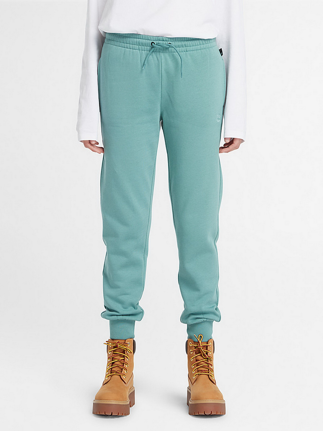 Штаны спортивные Timberland Embroidered Tree-logo модель TB0A6H5NDV6 Фото