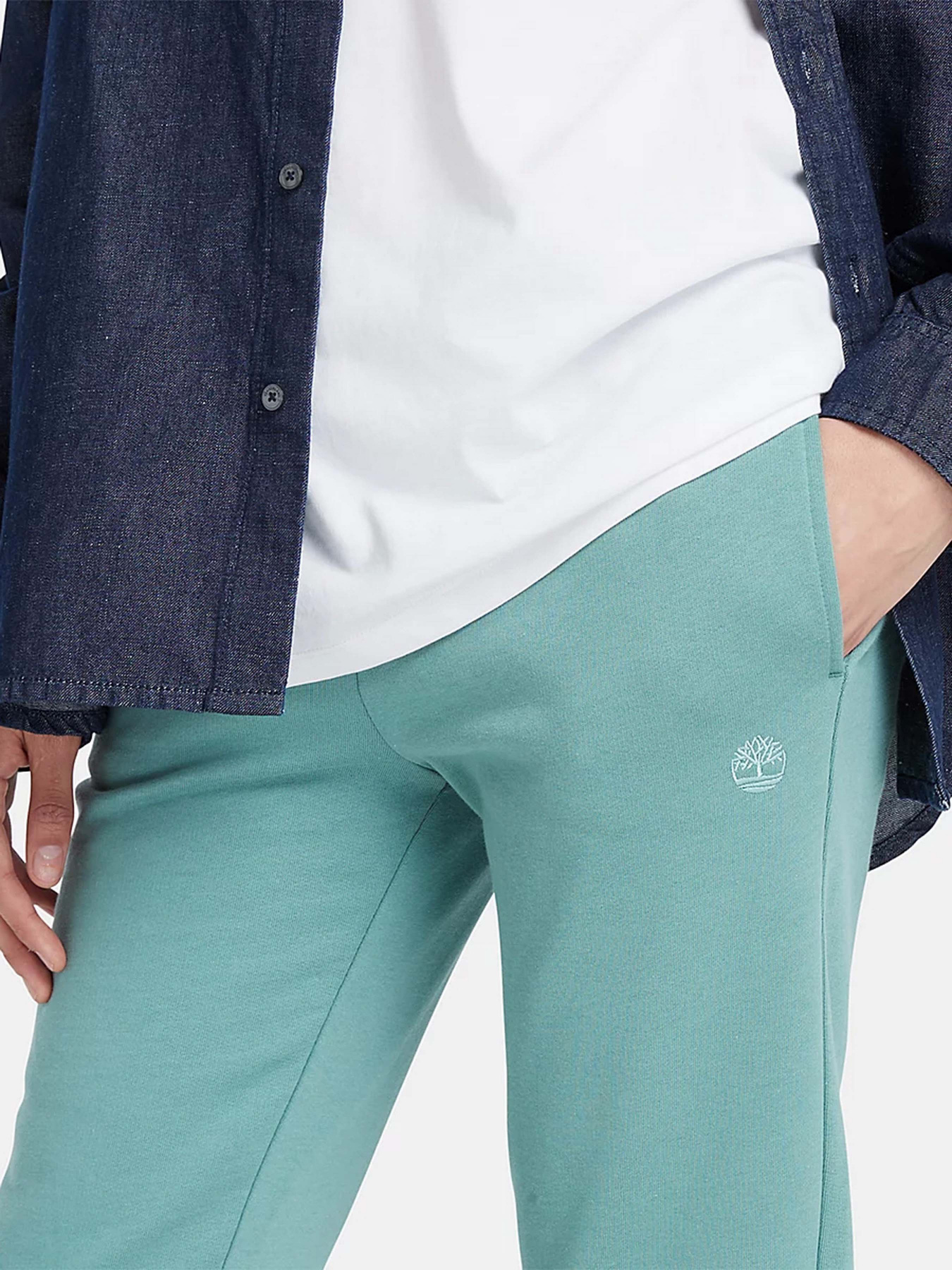 Штаны спортивные Timberland Embroidered Tree-logo модель TB0A6H5NDV6 Фото