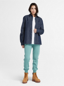 Штаны спортивные Timberland Embroidered Tree-logo модель TB0A6H5NDV6 Фото