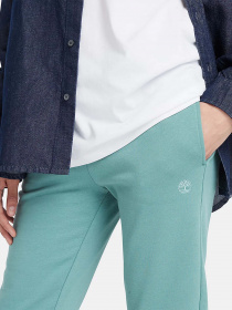 Штаны спортивные Timberland Embroidered Tree-logo модель TB0A6H5NDV6 Фото