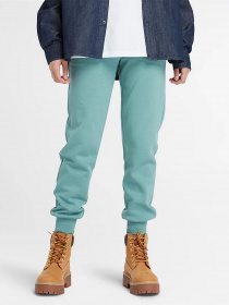 Штаны спортивные Timberland Embroidered Tree-logo модель TB0A6H5NDV6 Фото