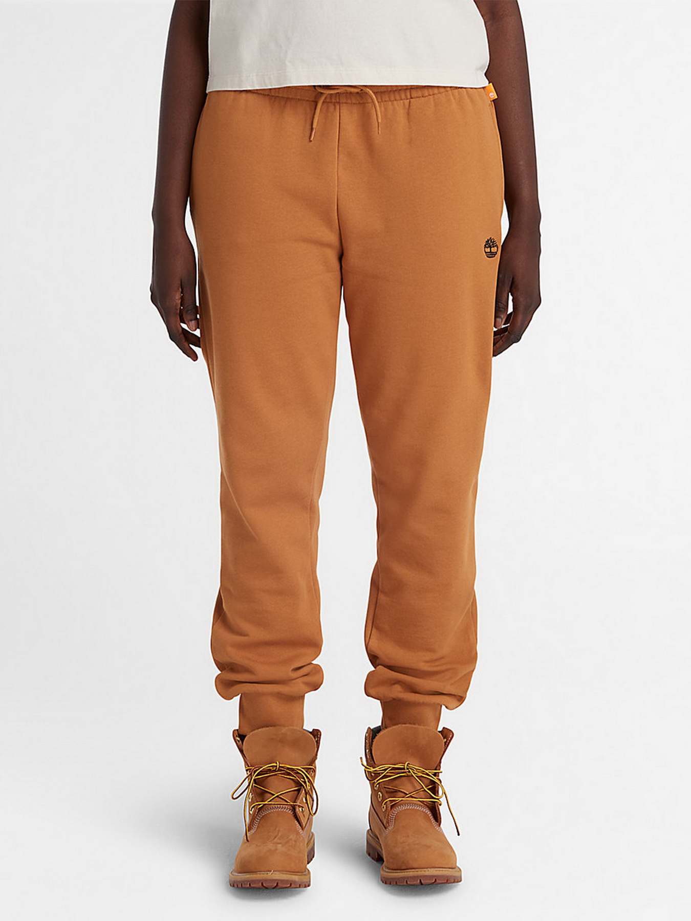 Штаны спортивные Timberland Embroidered Tree-logo модель TB0A6H5NP57 Фото