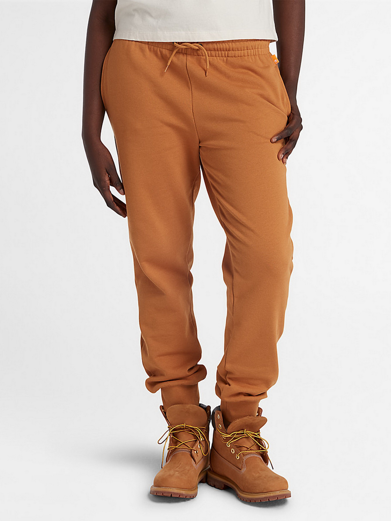 Штаны спортивные Timberland Embroidered Tree-logo модель TB0A6H5NP57 Фото