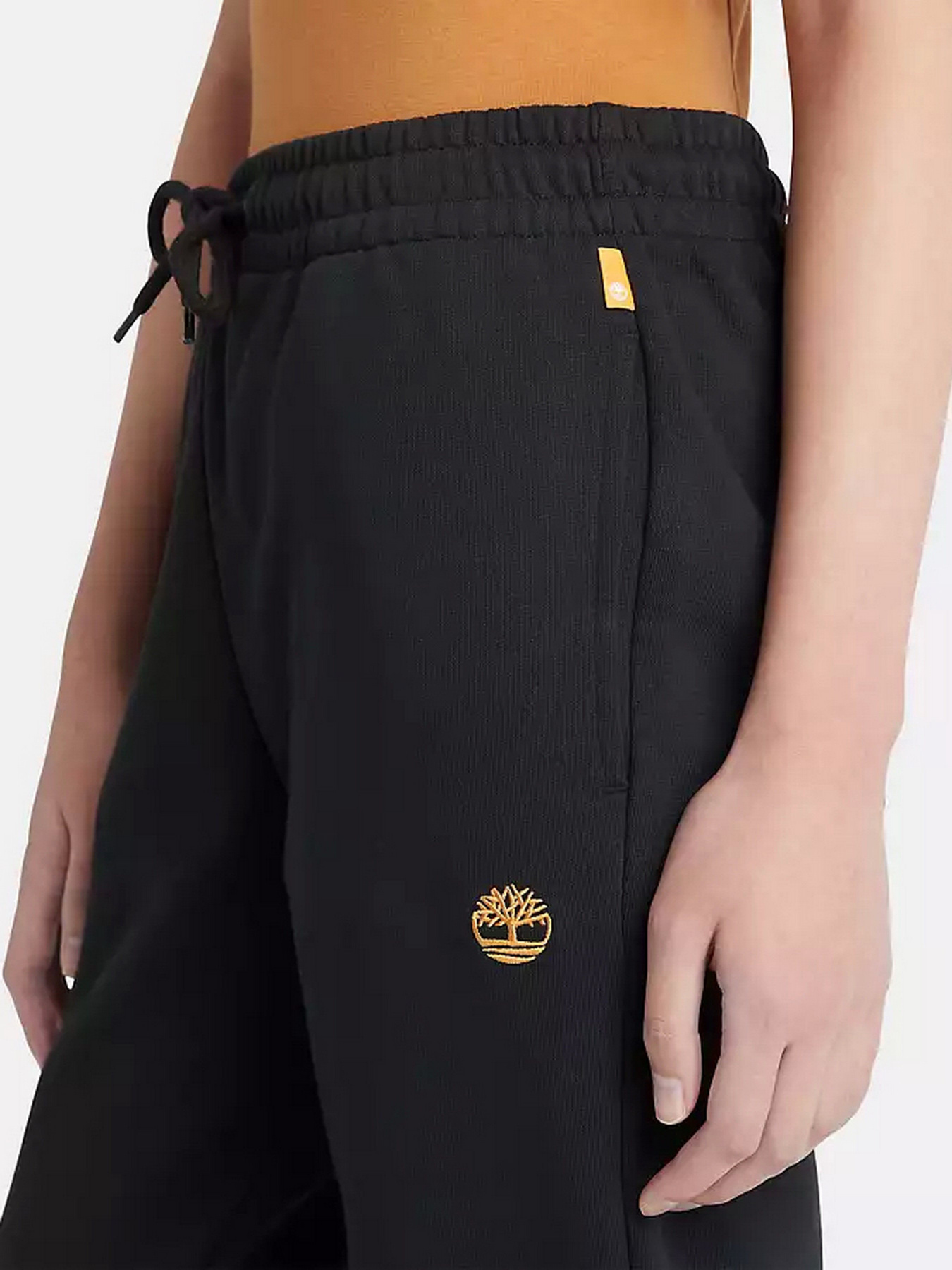 Штани спортивні Timberland Embroidered Tree-logo модель TB0A6H5NP56 Фото