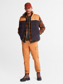 Жилет с утеплителем Timberland Welch Mountain Puffer модель TB0A22XMP57 Фото