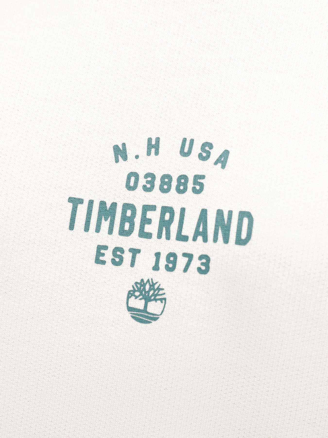 Худі Timberland Front Graphic модель TB0A5U8YCM9 Худі Timberland Front Graphic модель TB0A5U8YCM9 Фото