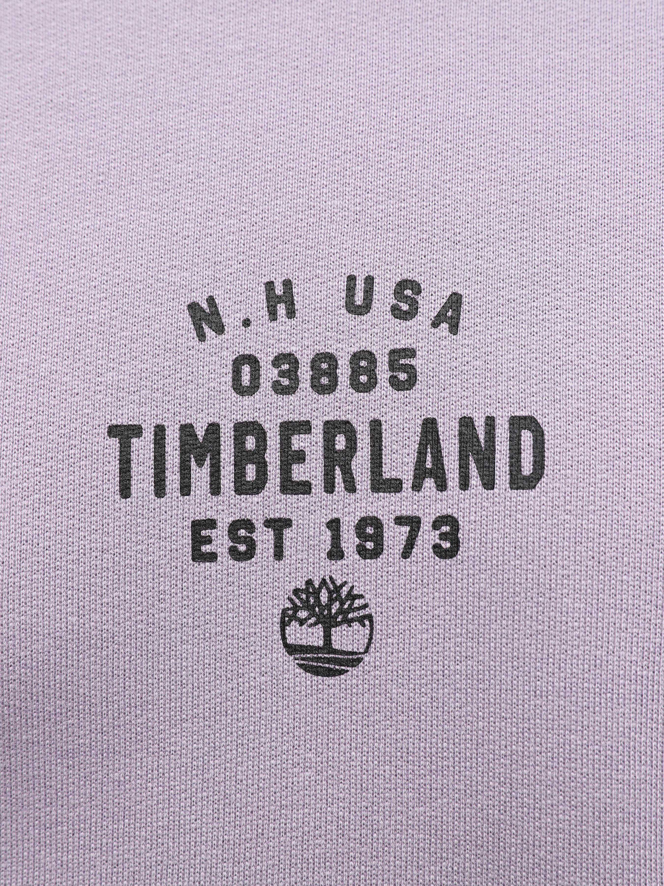 Худи Timberland Front Graphic модель TB0A5U8YEG7 Фото