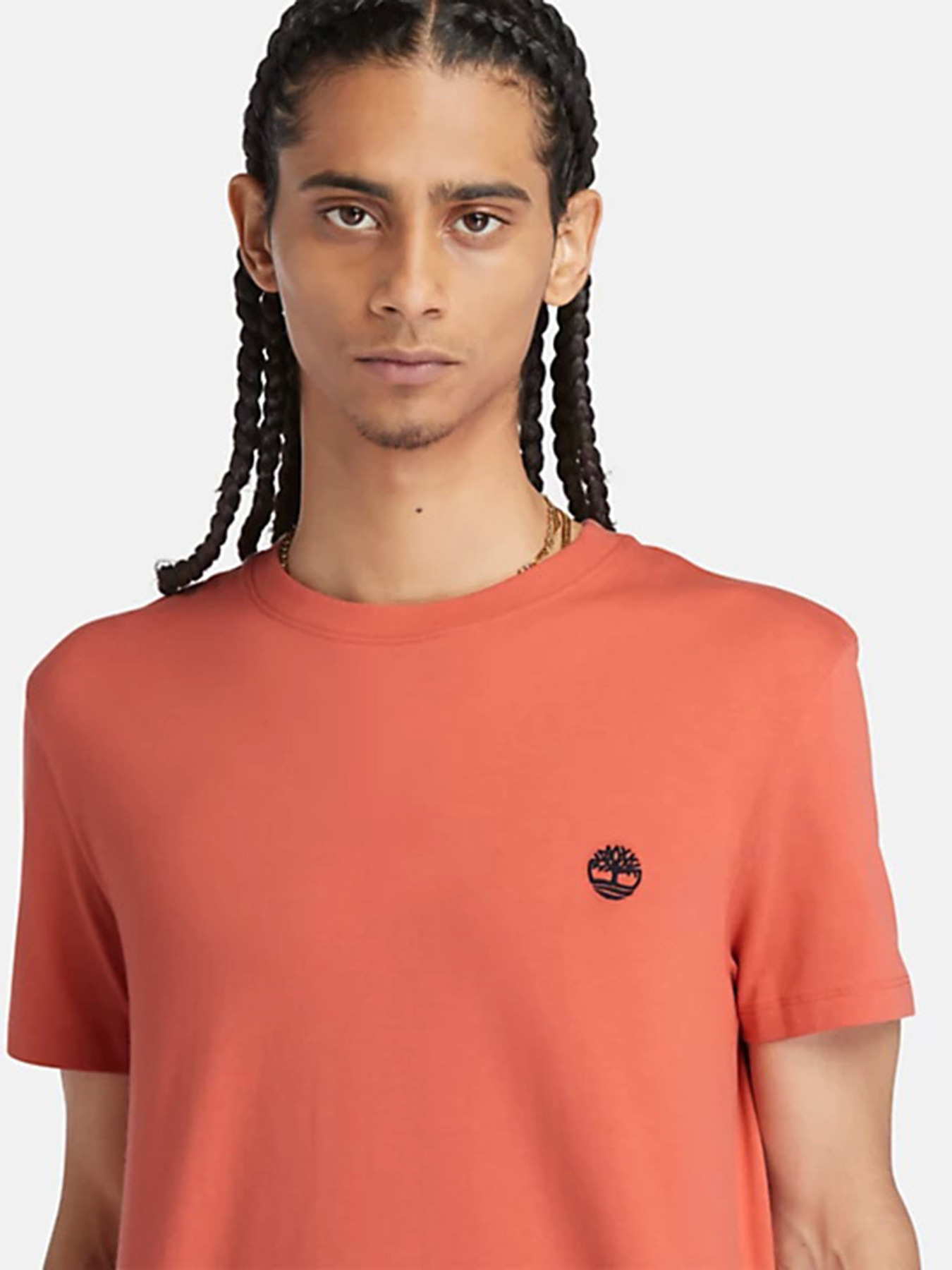 Футболка Timberland Dunstan River модель TB0A2BPREI4 Фото