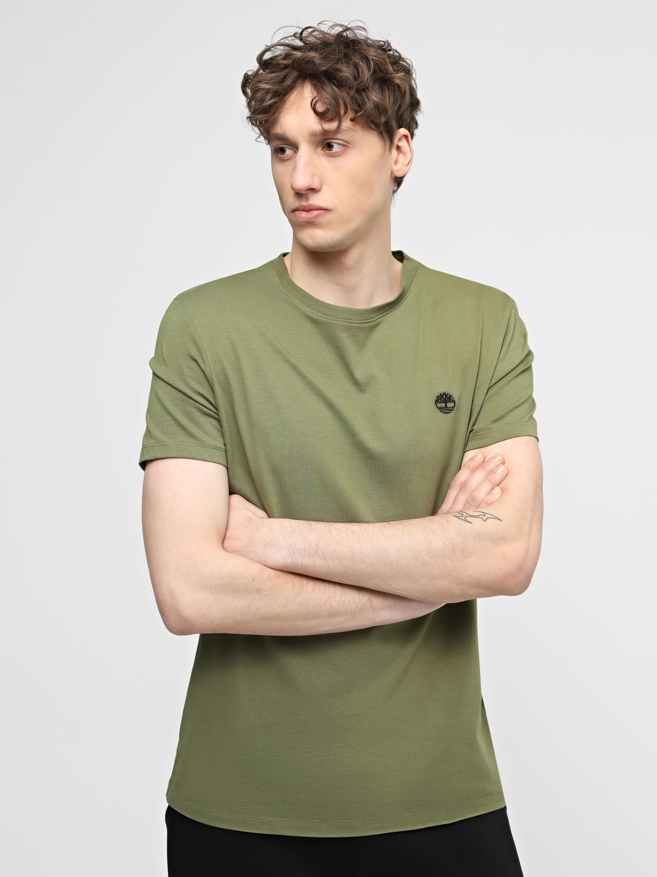 Футболка Timberland Dunstan River модель TB0A2BPREG5 Футболка Timberland Dunstan River модель TB0A2BPREG5 Фото