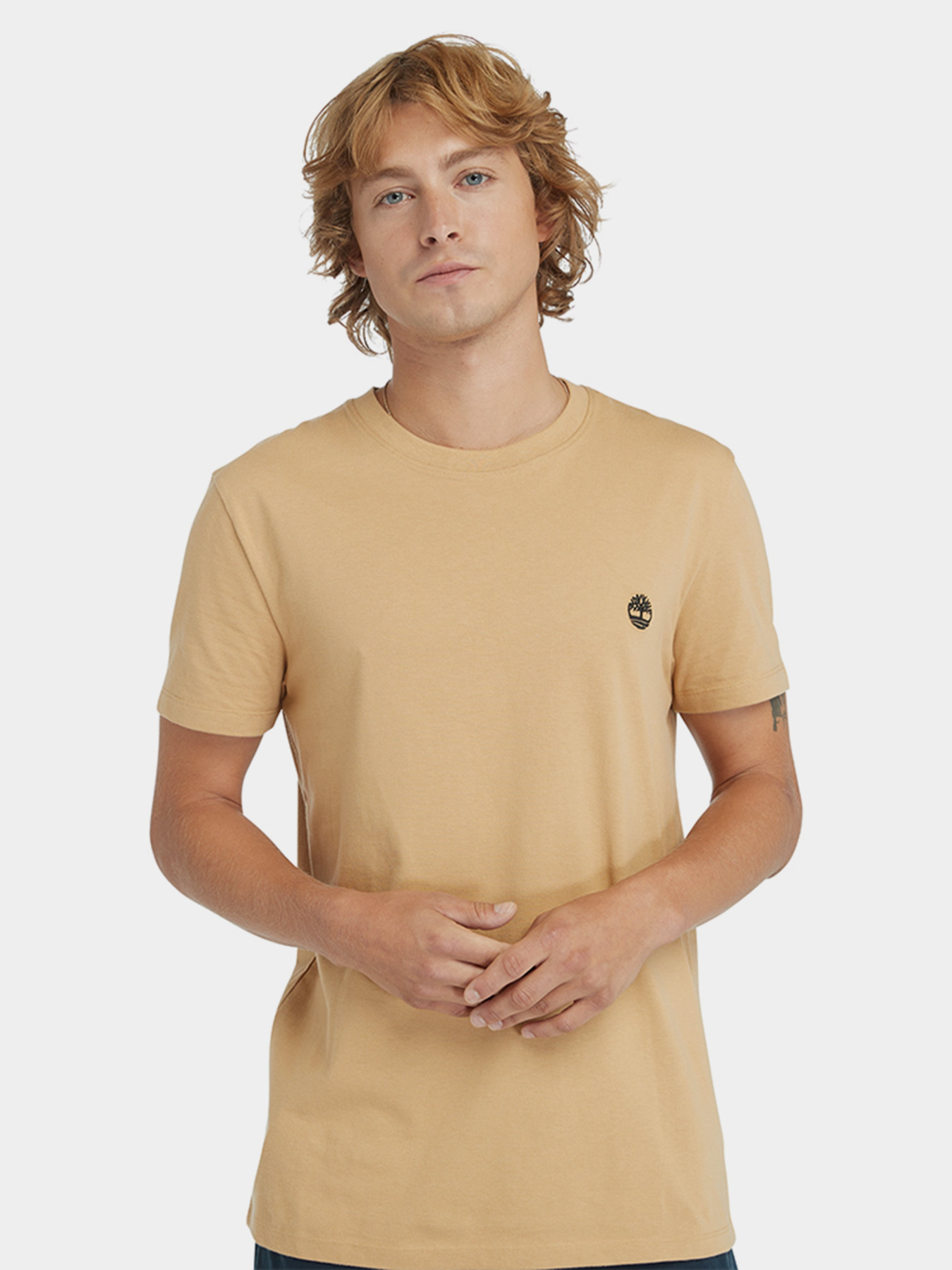 Футболка Timberland Dunstan River Модель TB0A2BPREH3 Фото