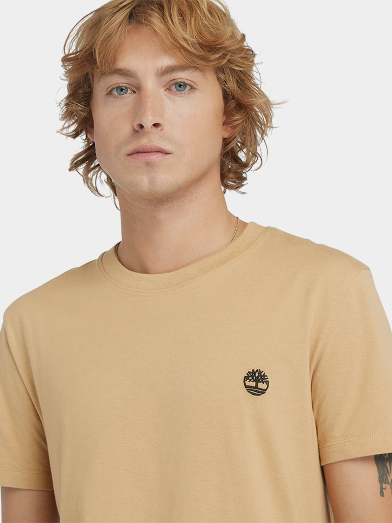 Футболка Timberland Dunstan River модель TB0A2BPREH3 Футболка Timberland Dunstan River модель TB0A2BPREH3 Фото