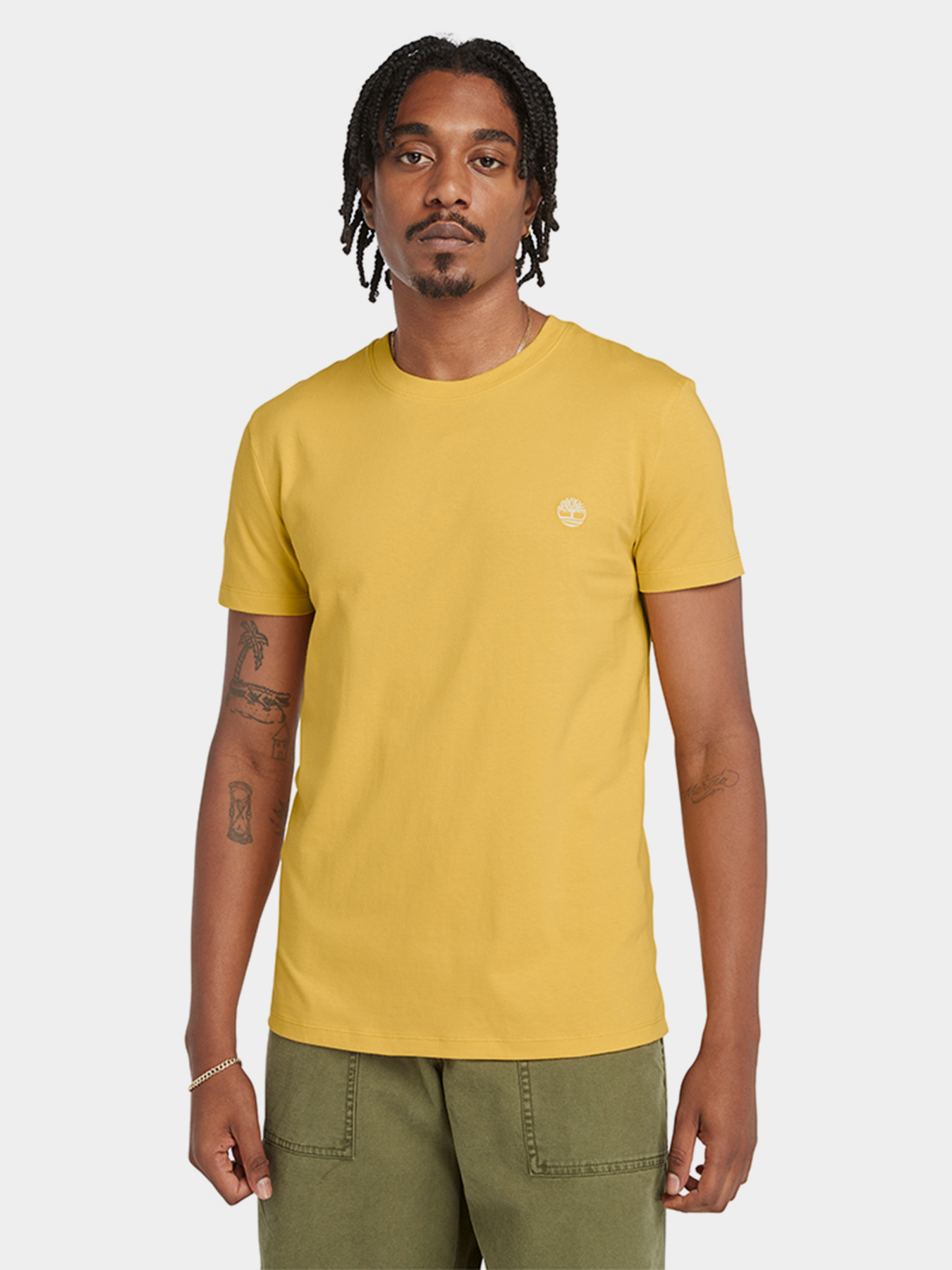 Футболка Timberland Dunstan River Модель TB0A2BPREG4 Фото