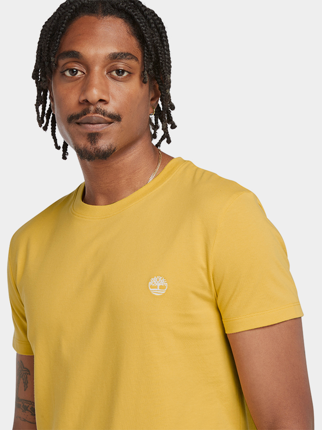 Футболка Timberland Dunstan River модель TB0A2BPREG4 Фото