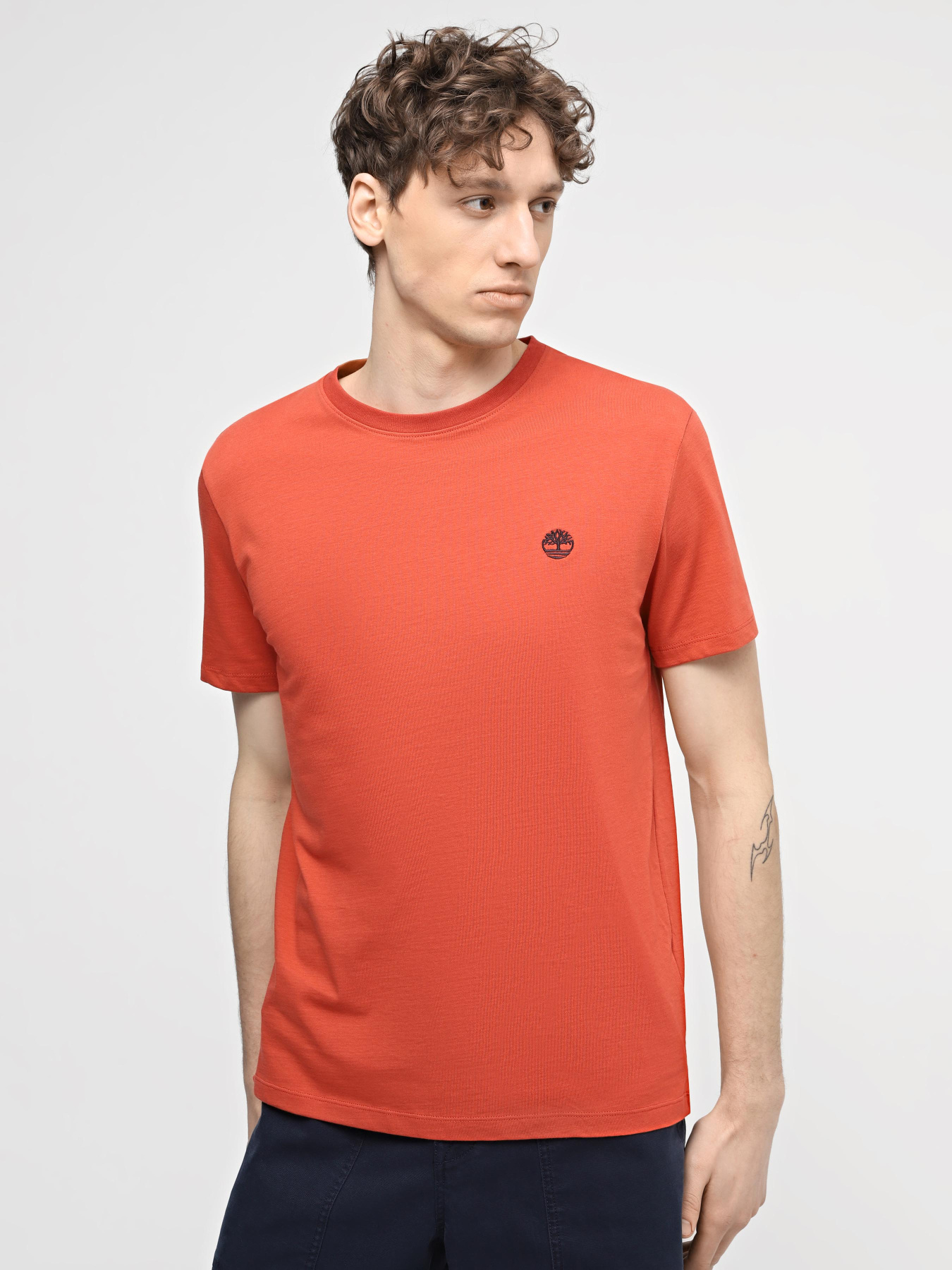 Футболка Timberland Dunstan River модель TB0A2BPREG6 Фото