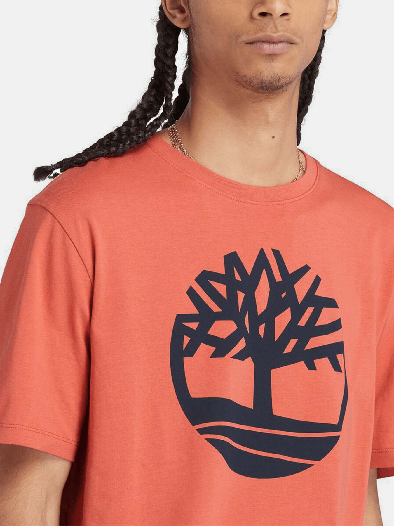 Футболка Timberland Tree Logo модель TB0A2C2REI4 Фото