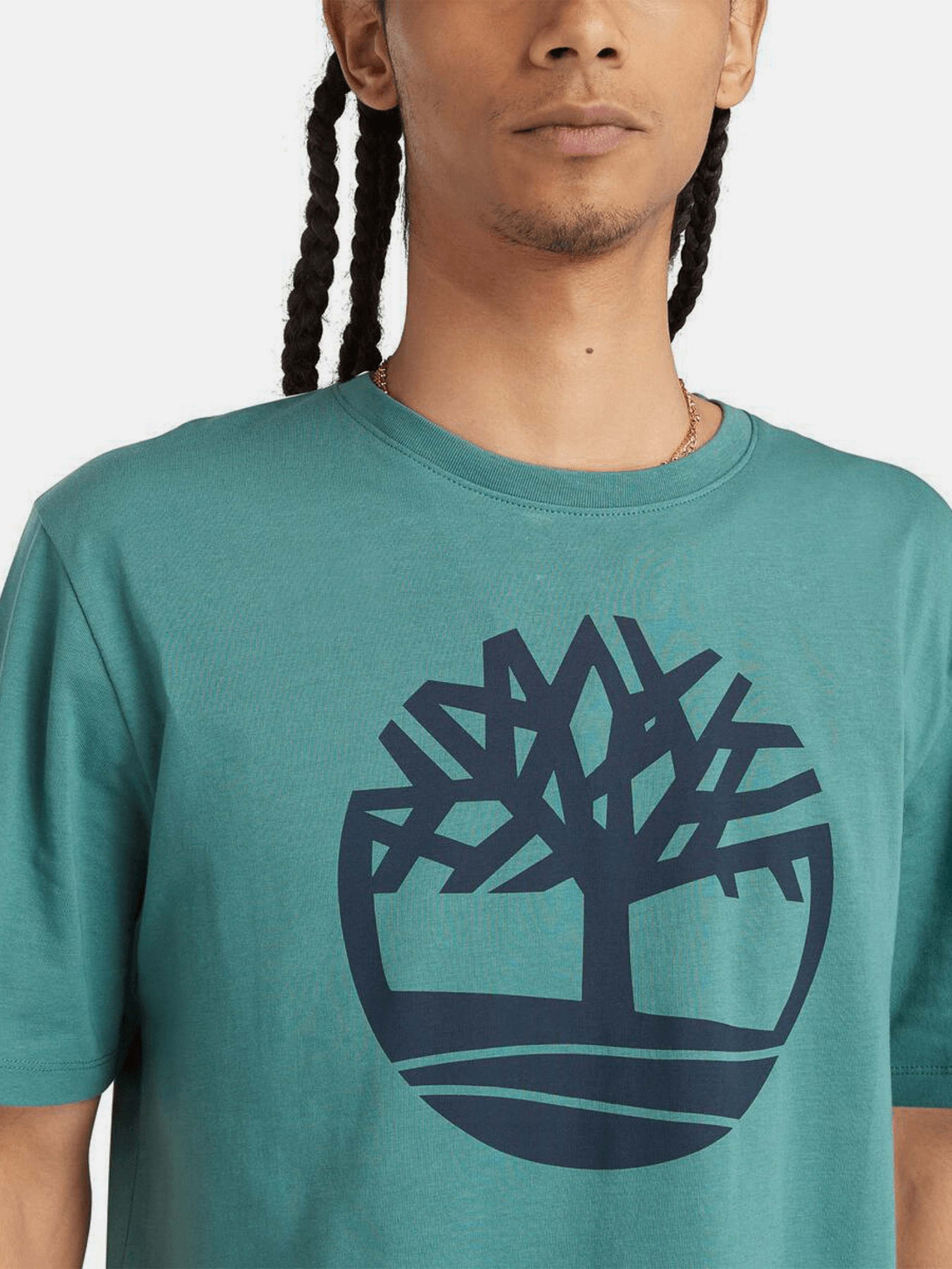 Футболка Timberland Tree Logo модель TB0A2C2RCL6 Фото