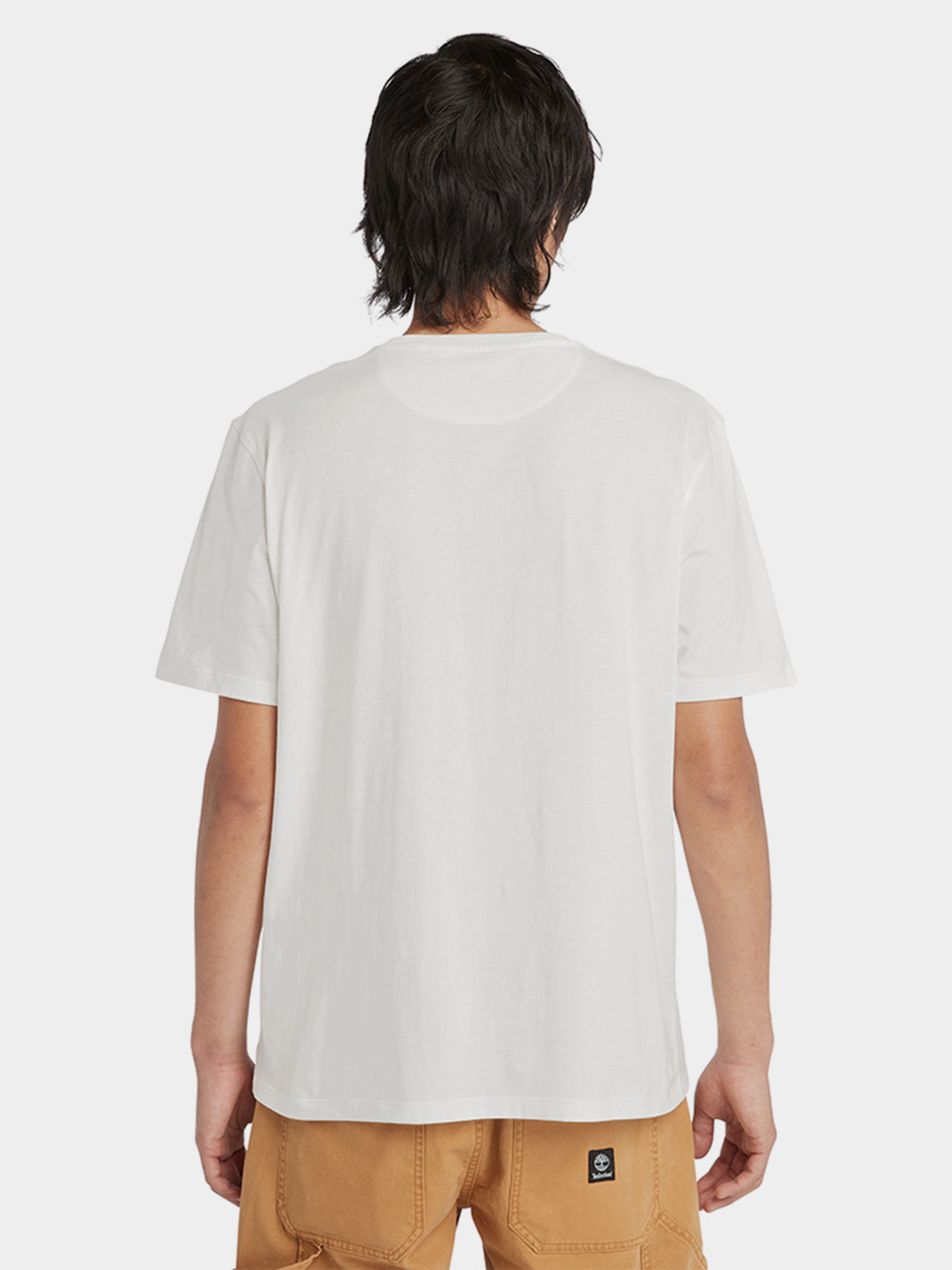 Футболка Timberland Dunstan Garment DYE модель TB0A5YAYCR3 Фото