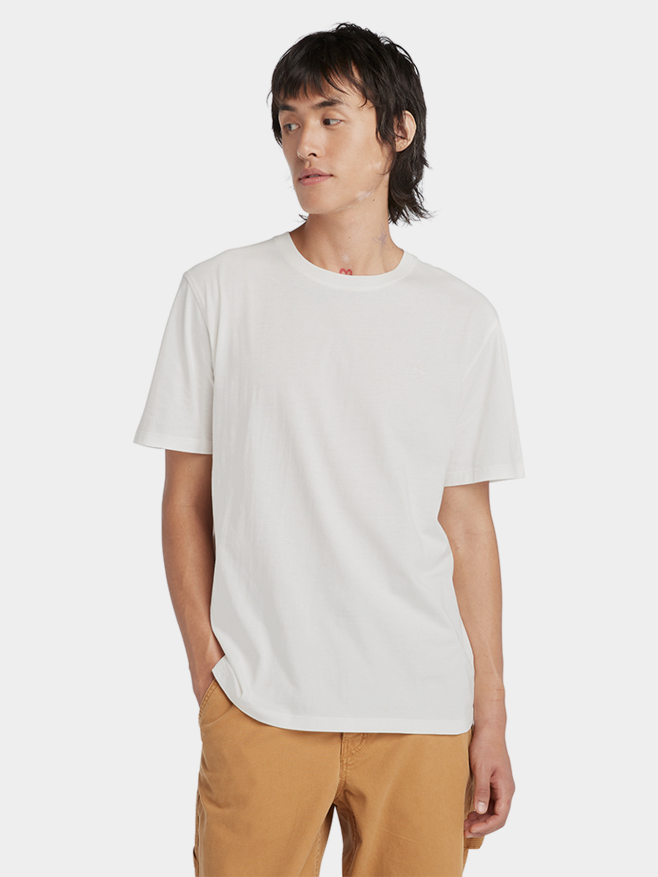 Футболка Timberland Dunstan Garment DYE модель TB0A5YAYCR3 Фото