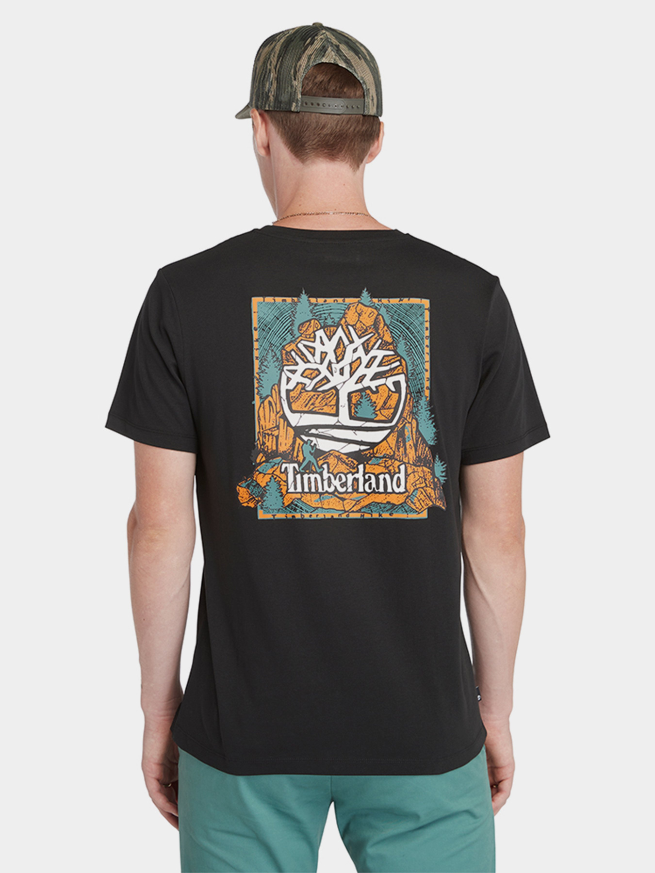Футболка Timberland Back Graphic модель TB0A5UDY001 Фото
