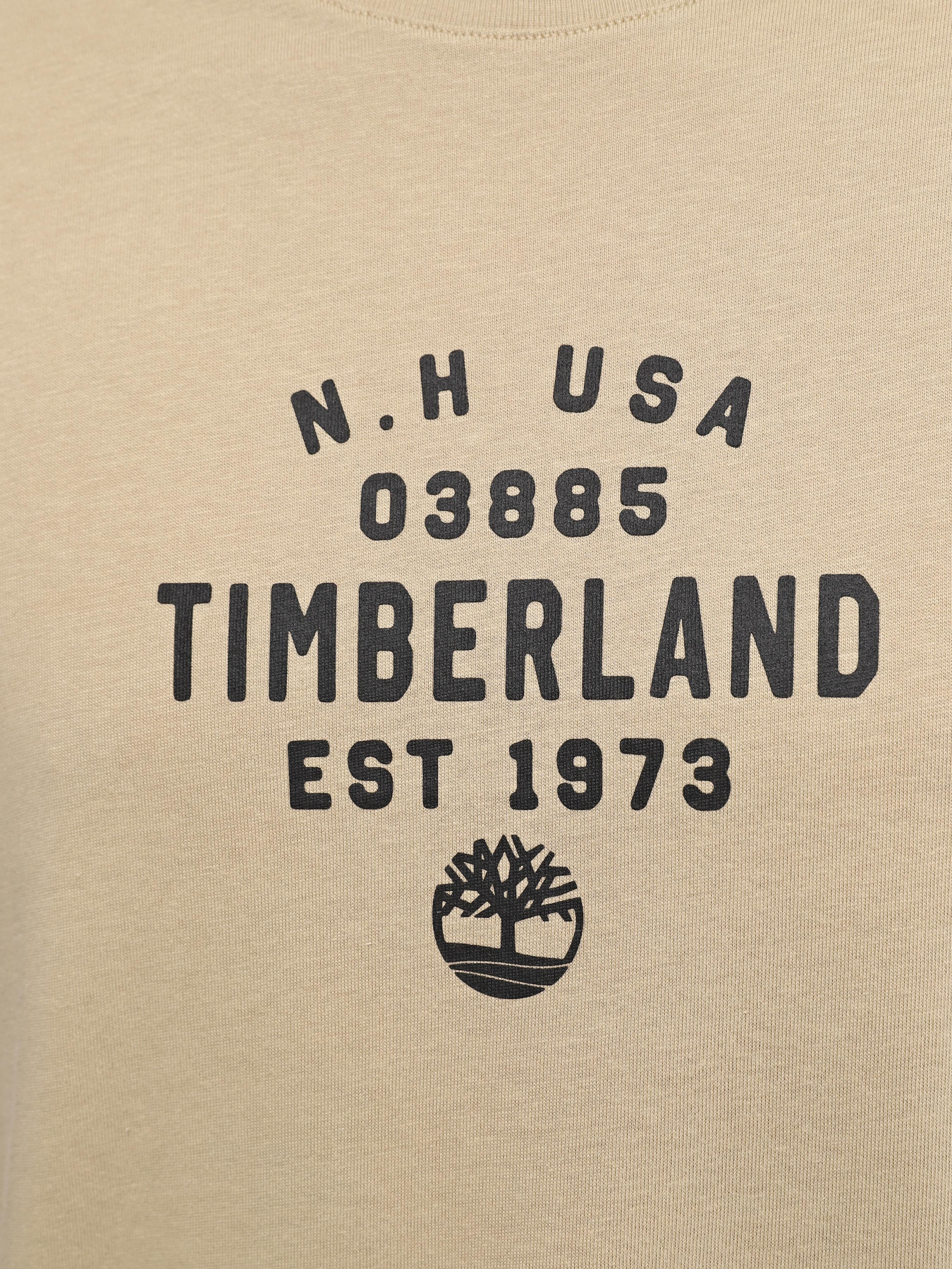 Футболка Timberland Graphic модель TB0A5UF7DH4 Фото